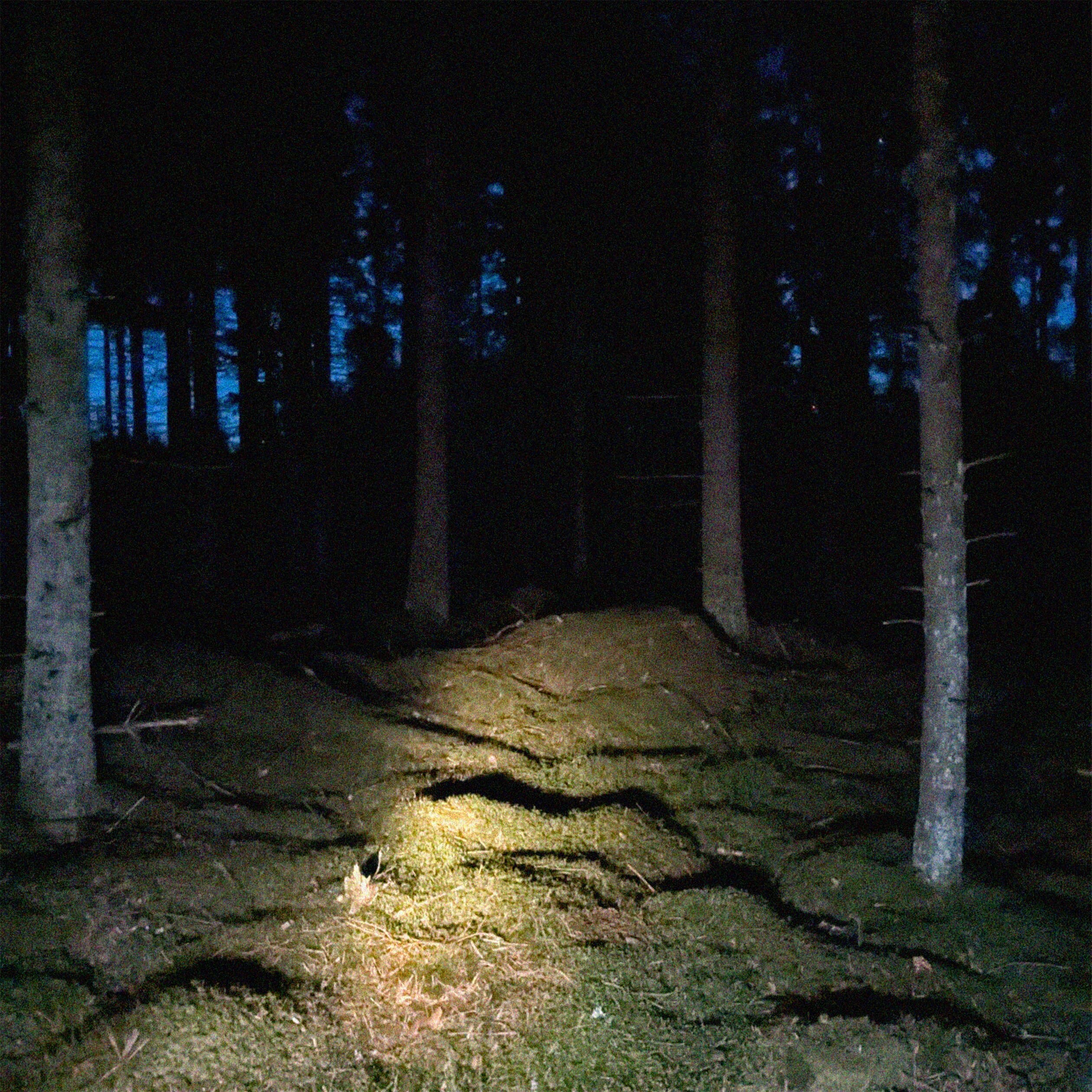 Parkway visual four
